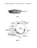 Plants having improved growth characteristics and method for making the same diagram and image