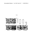 METHOD FOR AGROBACTERIUM-MEDIATED TRANSFORMATION OF PLANTS diagram and image