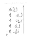 RADIOGRAPHIC IMAGING APPARATUS diagram and image