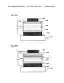 LUMINESCENT DEVICE diagram and image