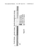 RANDOM PHASE MULTIPLE ACCESS COMMUNICATION INTERFACE SYSTEM AND METHOD diagram and image