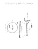 IN VIVO IMAGING AGENTS FOR MET RECEPTOR TYROSINE KINASE diagram and image