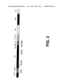 IN VIVO IMAGING AGENTS FOR MET RECEPTOR TYROSINE KINASE diagram and image