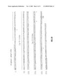 B7-H1, A NOVEL IMMUNOREGULATORY MOLECULE diagram and image