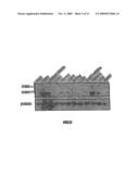 B7-H1, A NOVEL IMMUNOREGULATORY MOLECULE diagram and image