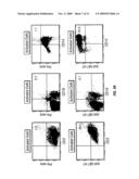 B7-H1, A NOVEL IMMUNOREGULATORY MOLECULE diagram and image