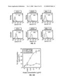 B7-H1, A NOVEL IMMUNOREGULATORY MOLECULE diagram and image