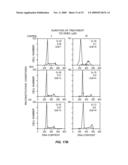 COMBINATION OF DEHYDROEPIANDROSTERONE OR DEHYDROEPIANDROSTERONE-SULFATE WITH A PDE-4 INHIBITOR FOR TREATMENT OF ASTHMA OR CHRONIC OBSTRUCTIVE PULMONARY DISEASE diagram and image