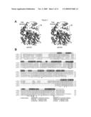 DEMETHYLATION AND INACTIVATION OF PROTEIN PHOSPHATASE 2A diagram and image