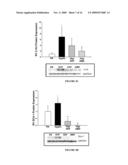 ATTENUATION OF HYPOXIA INDUCED CARDIOVASCULAR DISORDERS diagram and image