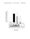 ATTENUATION OF HYPOXIA INDUCED CARDIOVASCULAR DISORDERS diagram and image