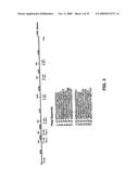 Recombinant RSV Virus Expression Systems And Vaccines diagram and image