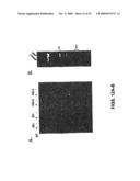 Recombinant RSV Virus Expression Systems And Vaccines diagram and image