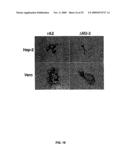 Recombinant RSV Virus Expression Systems And Vaccines diagram and image