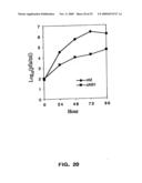 Recombinant RSV Virus Expression Systems And Vaccines diagram and image