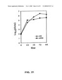 Recombinant RSV Virus Expression Systems And Vaccines diagram and image