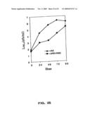 Recombinant RSV Virus Expression Systems And Vaccines diagram and image