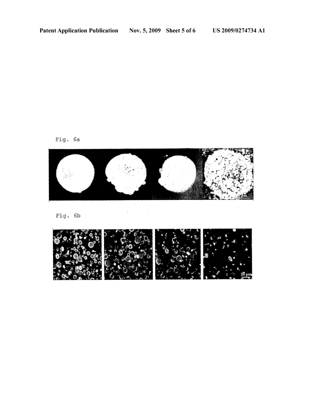 METHOD FOR OBTAINING HOLLOW PARTICLES - diagram, schematic, and image 06