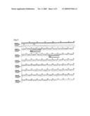 Primer and Probe for Detection of Mycobacterium Intracellulare, and Method for Detection of Mycobacterium Intracellulare by Using the Primer and Probe diagram and image