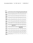 Primer and Probe for Detection of Mycobacterium Intracellulare, and Method for Detection of Mycobacterium Intracellulare by Using the Primer and Probe diagram and image