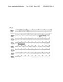 Primer and Probe for Detection of Mycobacterium Intracellulare, and Method for Detection of Mycobacterium Intracellulare by Using the Primer and Probe diagram and image