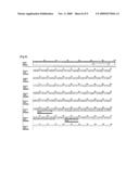 Primer and Probe for Detection of Mycobacterium Intracellulare, and Method for Detection of Mycobacterium Intracellulare by Using the Primer and Probe diagram and image