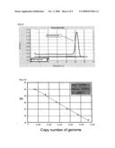 Primer and Probe for Detection of Mycobacterium Intracellulare, and Method for Detection of Mycobacterium Intracellulare by Using the Primer and Probe diagram and image