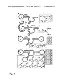 Medium scale intergration of molecular logic gates in an automaton diagram and image