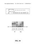 SYSTEMS AND METHODS FOR REAL TIME SINGLE MOLECULE SEQUENCE DETERMINATION diagram and image