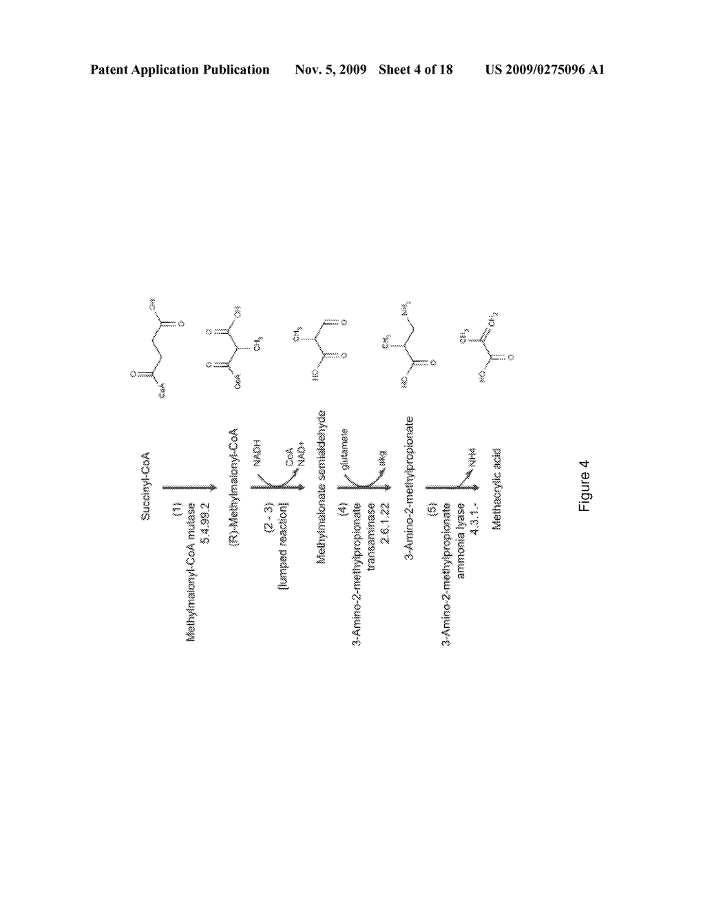 MICROORGANISMS FOR THE PRODUCTION OF METHACRYLIC ACID - diagram, schematic, and image 05