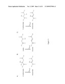 MICROORGANISMS FOR THE PRODUCTION OF METHACRYLIC ACID diagram and image