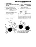 NUCLEIC ACID SEPARATION AND PURIFICATION METHOD BASED ON REVERSIBLE CHARGE INTERACTIONS diagram and image