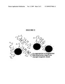 NUCLEIC ACID SEPARATION AND PURIFICATION METHOD BASED ON REVERSIBLE CHARGE INTERACTIONS diagram and image