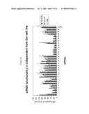 siRNA targeting inner centromere protein antigens (INCENP) diagram and image