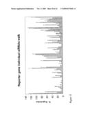 siRNA targeting inner centromere protein antigens (INCENP) diagram and image