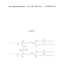 High Modulus Bio-Based Polymer Formulations diagram and image