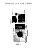 Protein formulations comprising s1-5 diagram and image