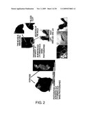 Protein formulations comprising s1-5 diagram and image