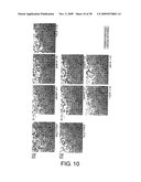 Protein formulations comprising s1-5 diagram and image