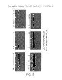 Protein formulations comprising s1-5 diagram and image