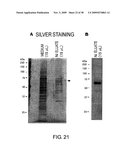 Protein formulations comprising s1-5 diagram and image