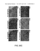 Protein formulations comprising s1-5 diagram and image