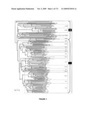 PLANTS HAVING ENHANCED YIELD-RELATED TRAITS AND A METHOD FOR MAKING THE SAME diagram and image