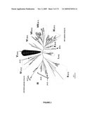 PLANTS HAVING ENHANCED YIELD-RELATED TRAITS AND A METHOD FOR MAKING THE SAME diagram and image