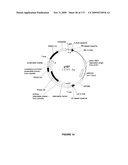 PLANTS HAVING ENHANCED YIELD-RELATED TRAITS AND A METHOD FOR MAKING THE SAME diagram and image