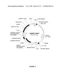 PLANTS HAVING ENHANCED YIELD-RELATED TRAITS AND A METHOD FOR MAKING THE SAME diagram and image