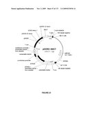 PLANTS HAVING ENHANCED YIELD-RELATED TRAITS AND A METHOD FOR MAKING THE SAME diagram and image