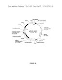 PLANTS HAVING ENHANCED YIELD-RELATED TRAITS AND A METHOD FOR MAKING THE SAME diagram and image