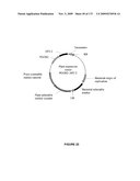 PLANTS HAVING ENHANCED YIELD-RELATED TRAITS AND A METHOD FOR MAKING THE SAME diagram and image