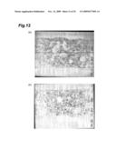 SLIDING MATERIAL, SLIDING MEMBER, AND WEATHERSTRIP diagram and image